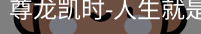 尊龙凯时